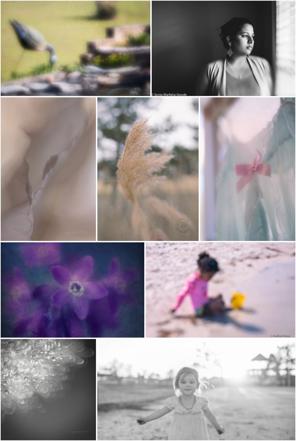 Collaboration Collage of Out of Focus Photographs 
