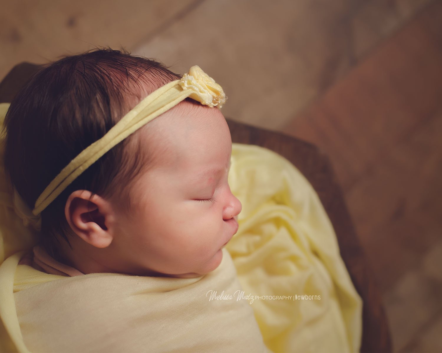 newborn baby girl photo session in rochester hills mi