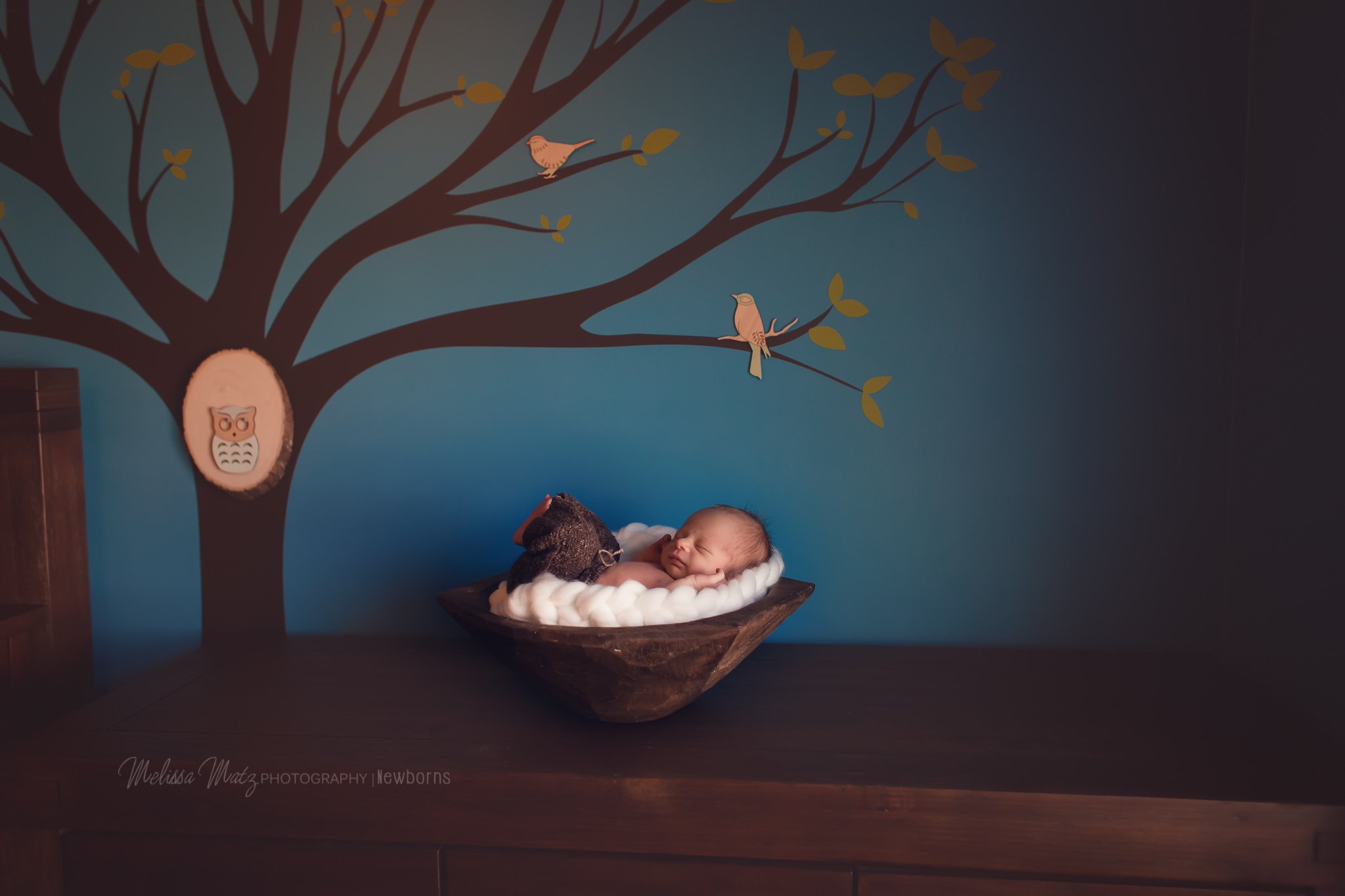 newborn baby boys beautiful nursery featured in his newborn photo session