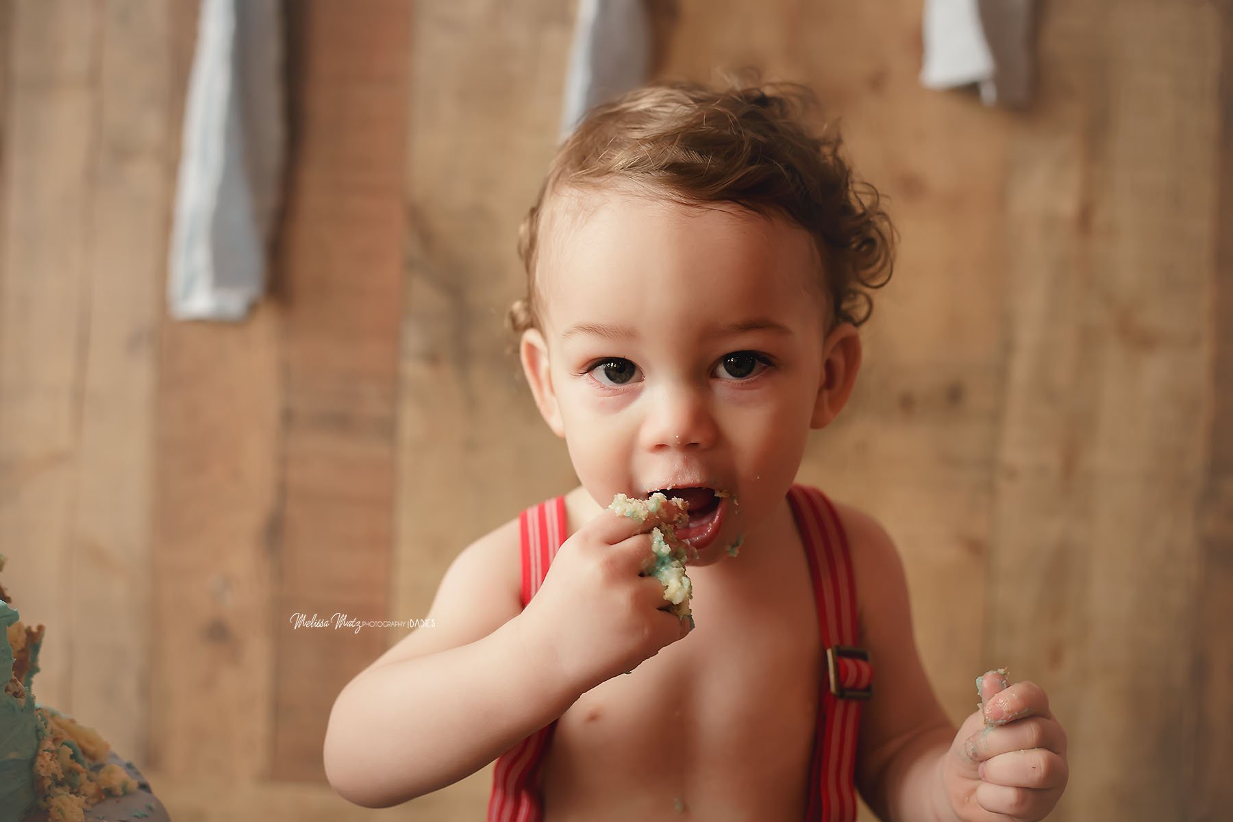 cake-smash-one-year-portraits-macomb-county-baby-photographer