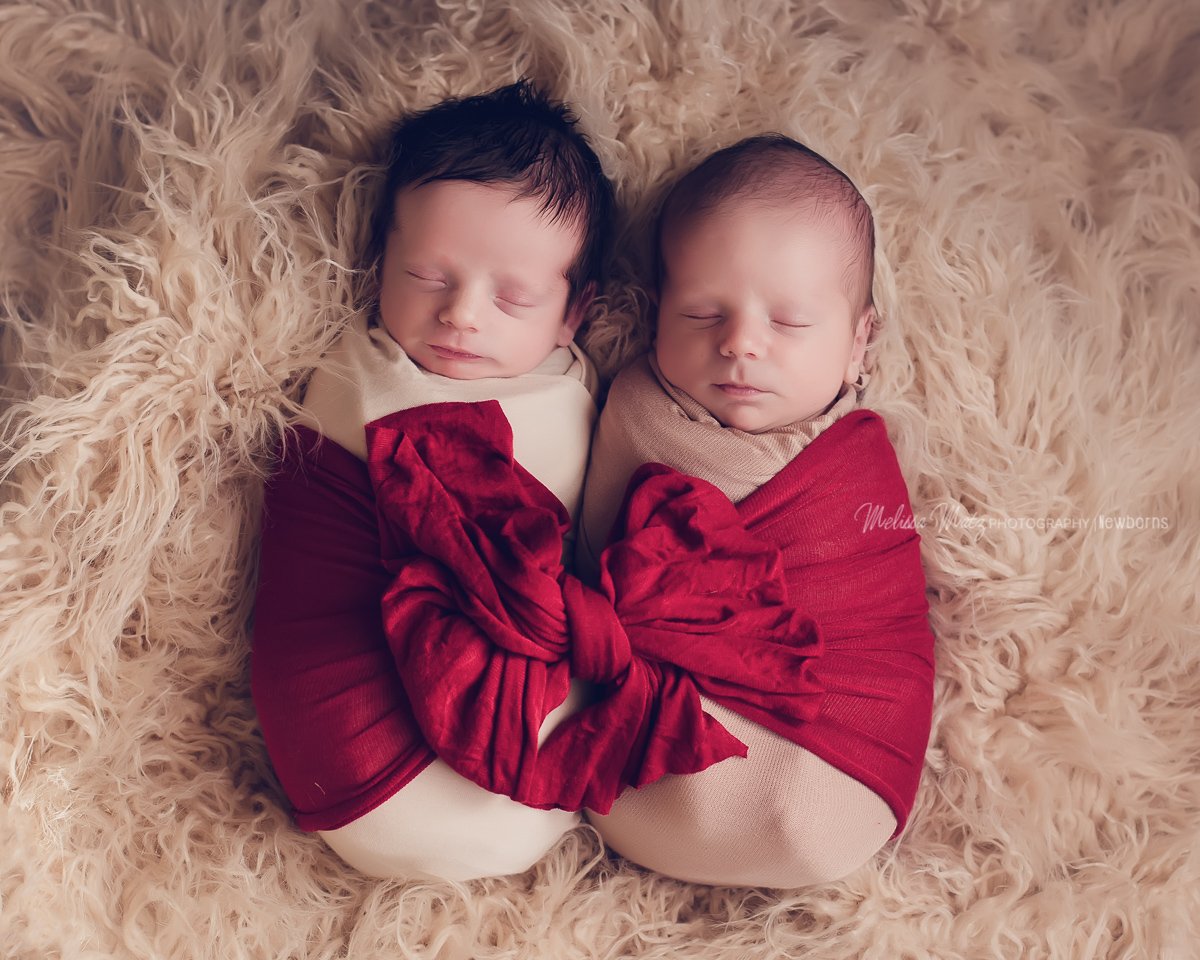 acomb-county-newborn-photography-twins
