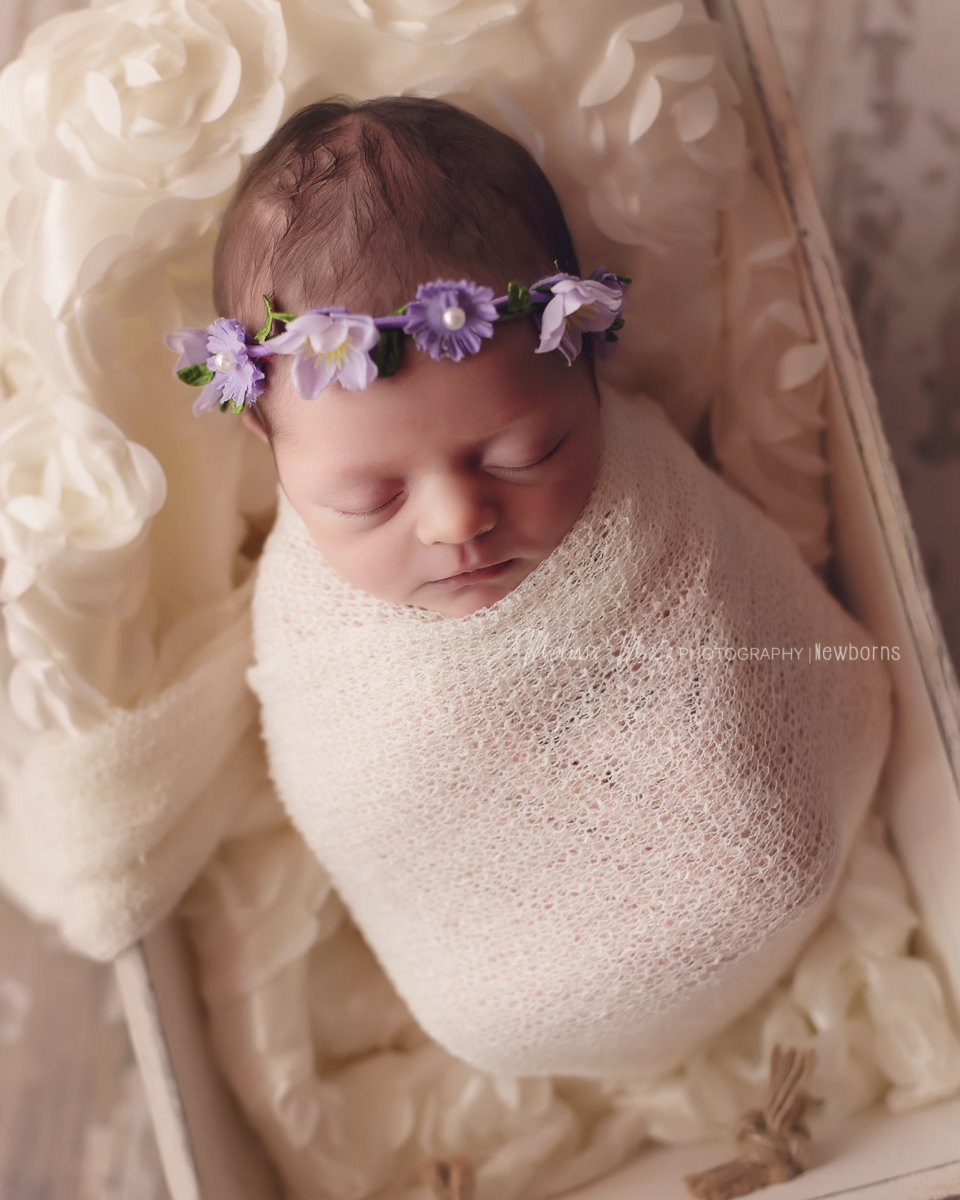 newborn-baby-girl-macomb-county-newborn-photographer
