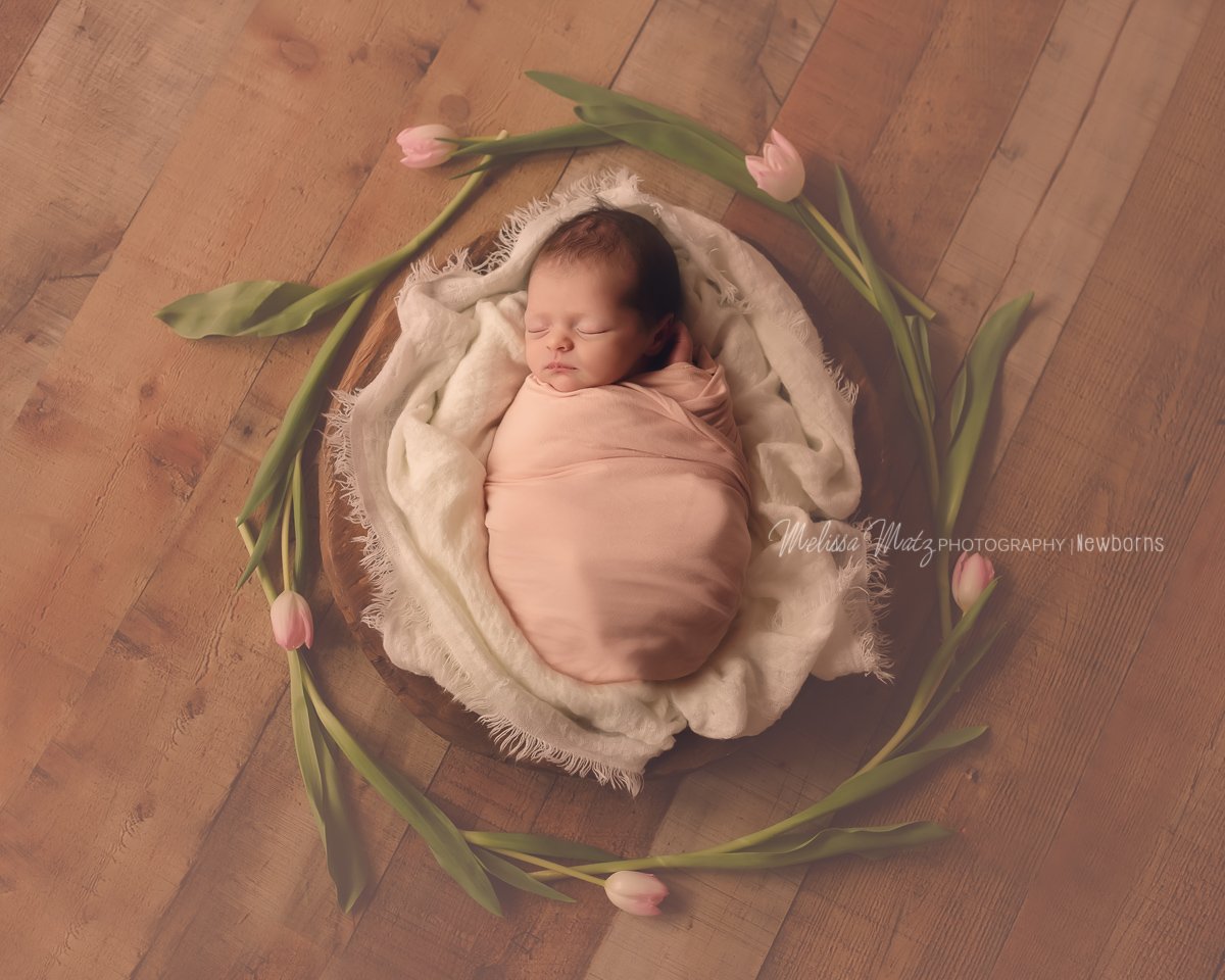 newborn-baby-girl-tulips-macomb-county-newborn-photographer