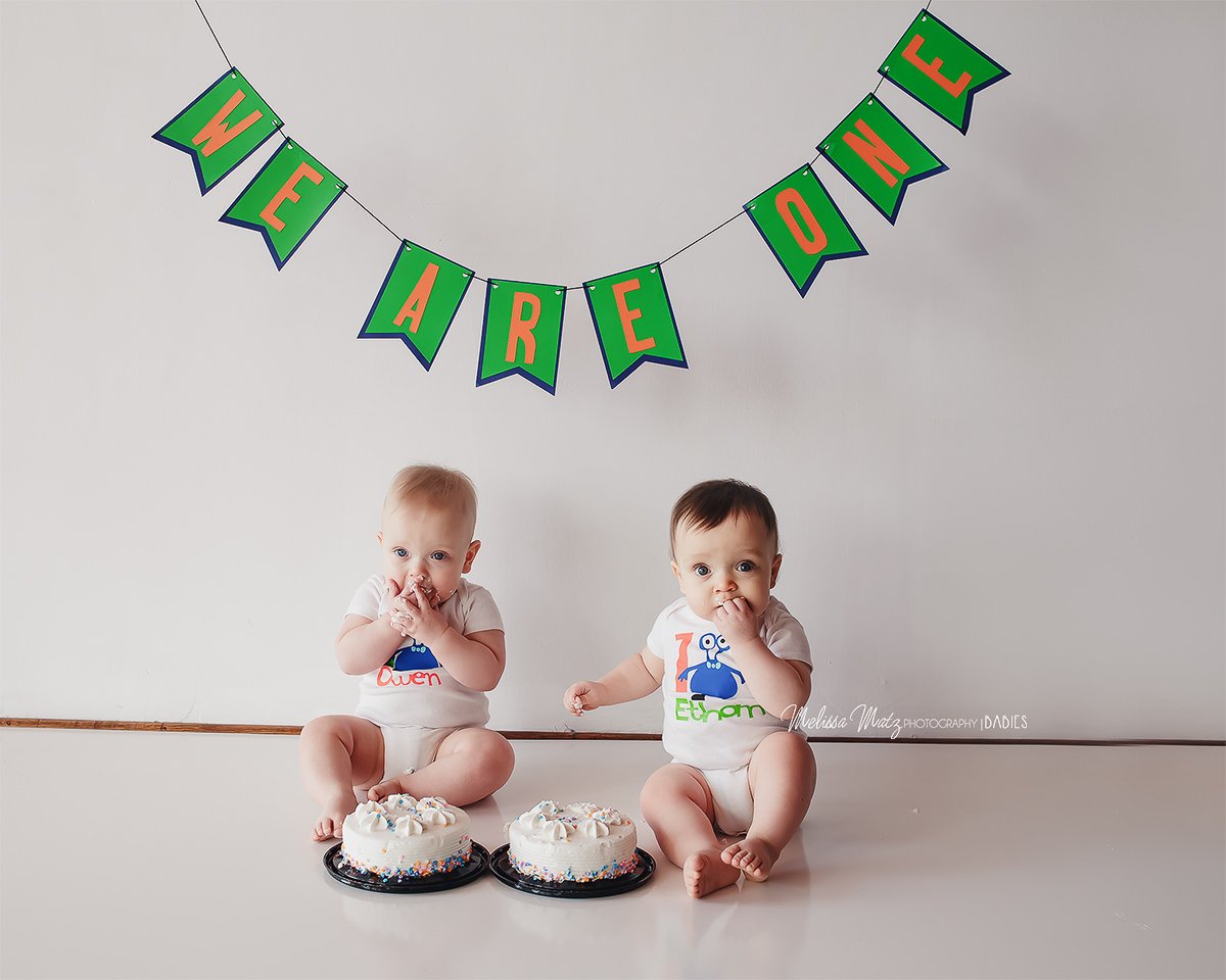 oakland-county-baby-photographer-cake-smash-twins-session