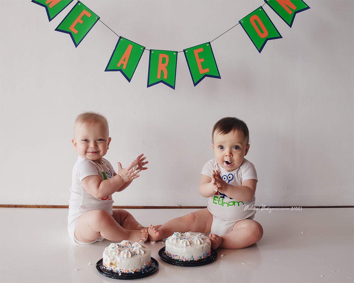 macomb-county-baby-photographer-cake-smash-twins-session-shelby-township-mi