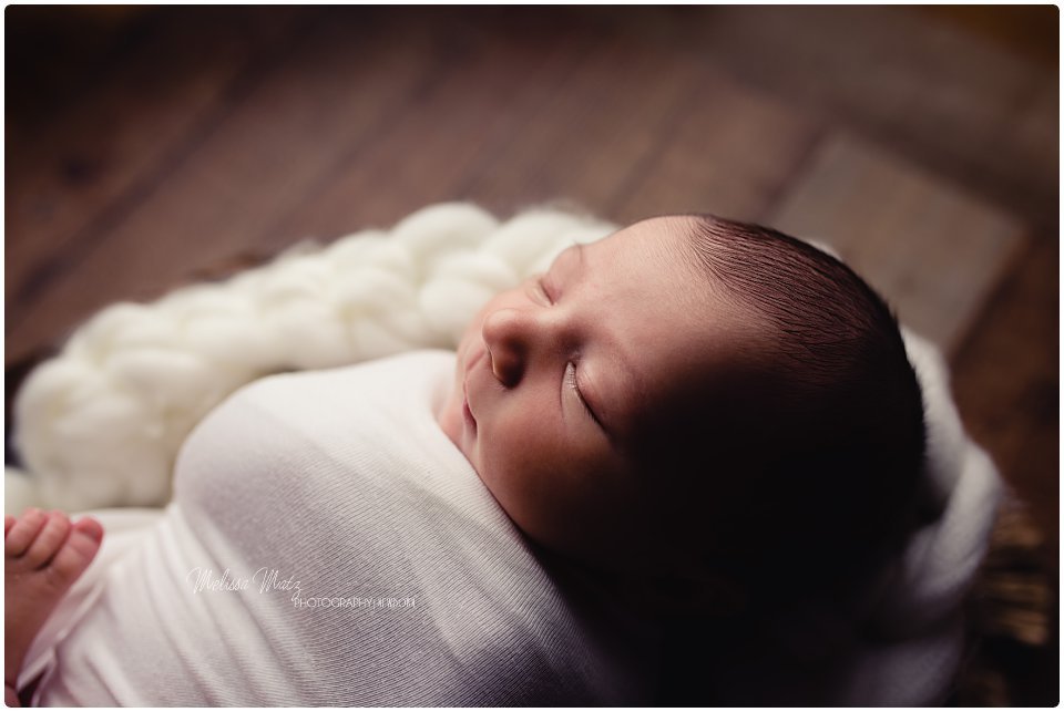 utica mi newborn photographer 