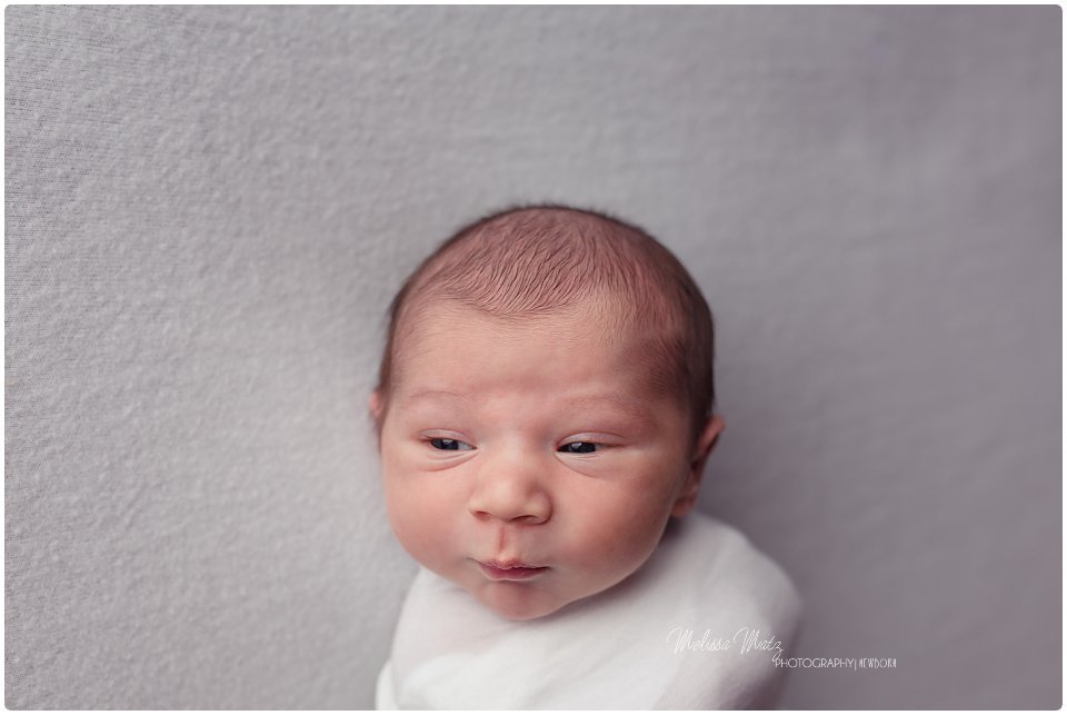 utica mi newborn photographer 