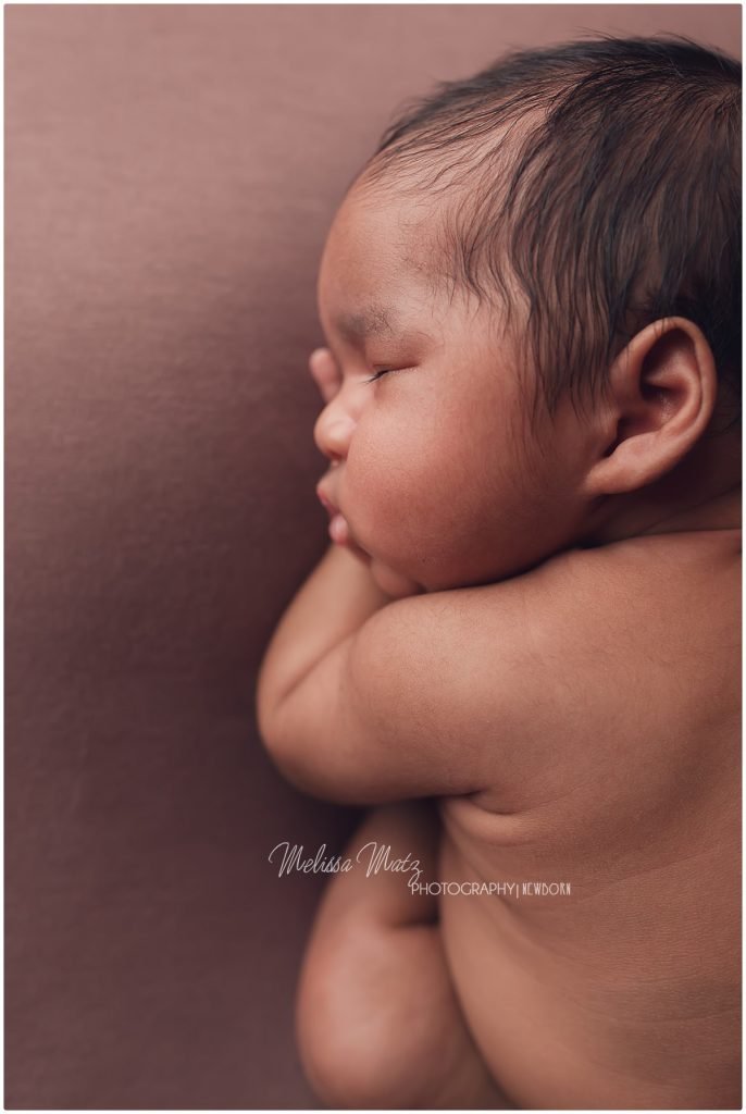 almont mi newborn photographer