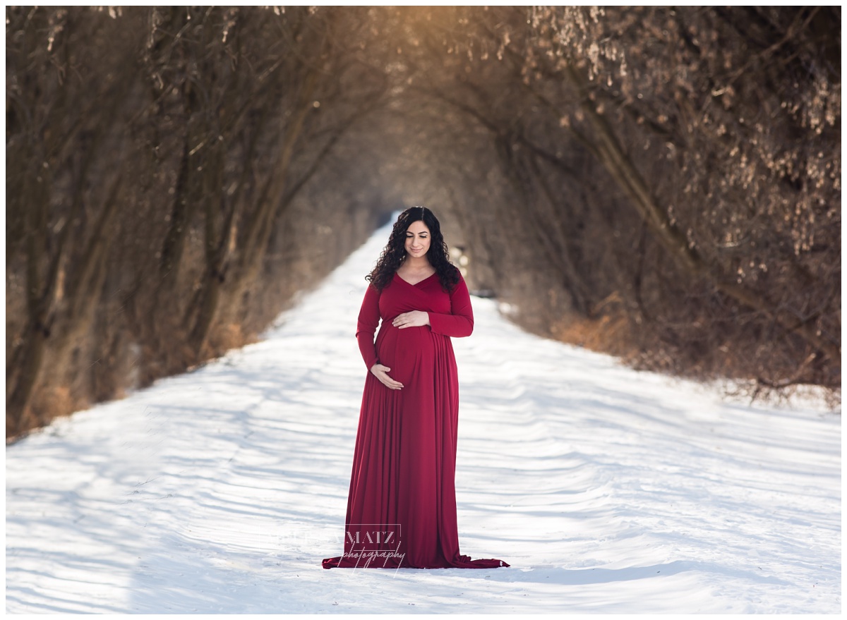 metro detroit winter maternity photography session