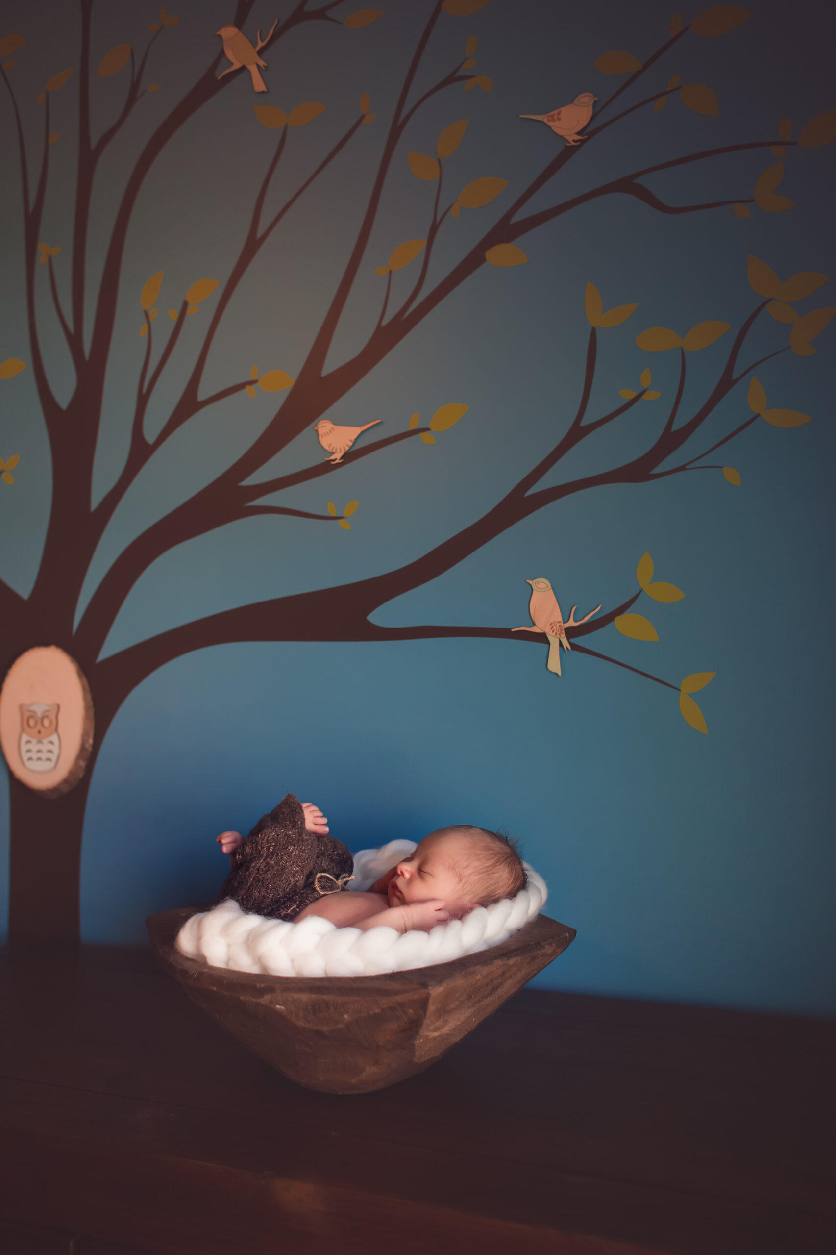 newborn session done in home with baby next to a tree mural in his nursery