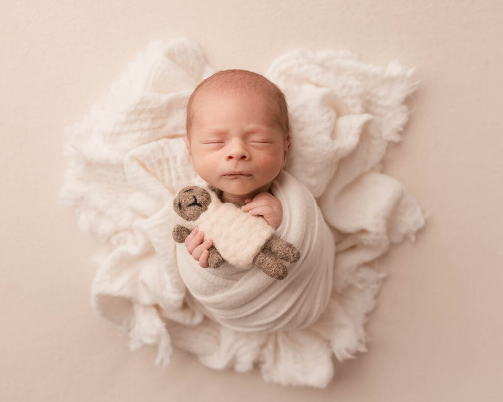 newborn swaddled holding a tiny sheep plushie