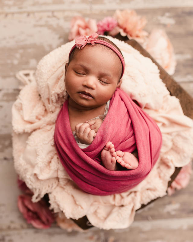 Wrapped newborn sleeping peacefully in posed studio portrait